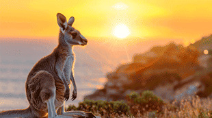 Australia visa: eta and evisitor