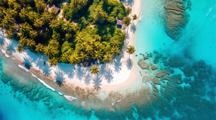 Bermuda arrival card apply online