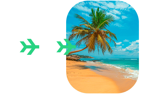 C5 form jamaica online C5 form jamaica