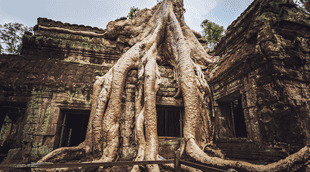 cambodia visa online application