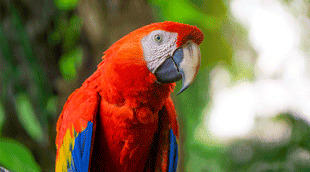 Colombia check mig application Check mig colombia