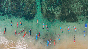 Philippines eTravel Declaration