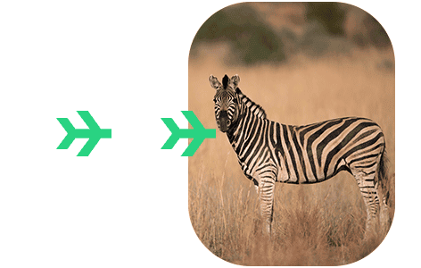Kenya eta requirements Kenya eTA application