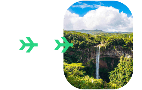 Mauritius Digital Travel Form