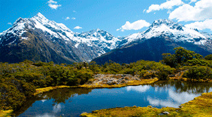 NZ eTA Online