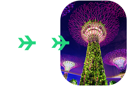Arrvial card to singapore Singapore Card