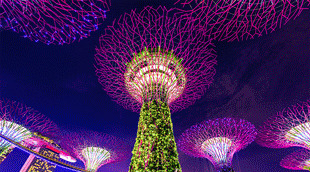 Singapore Card